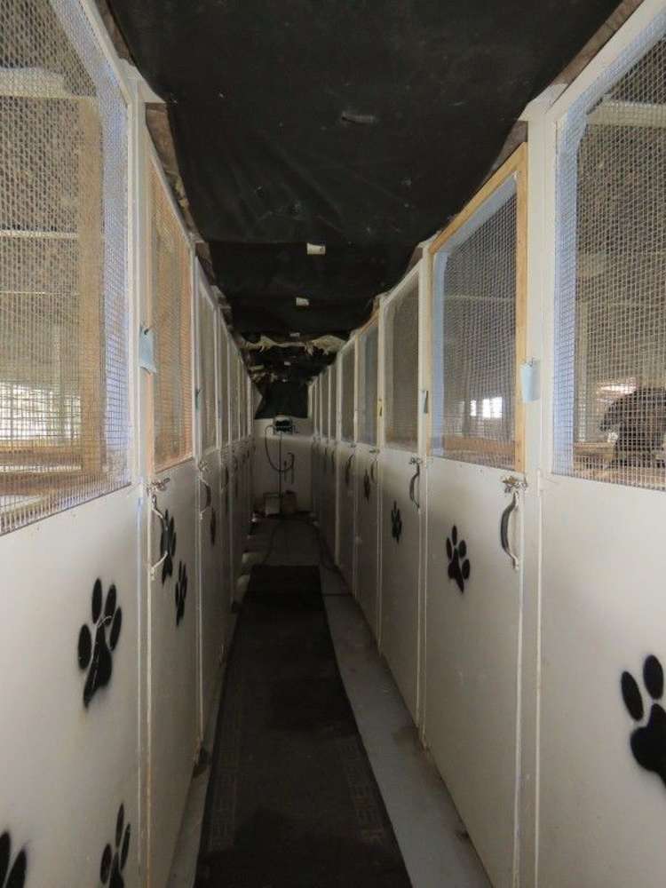 255 Gibbon Road Morrinsville_25