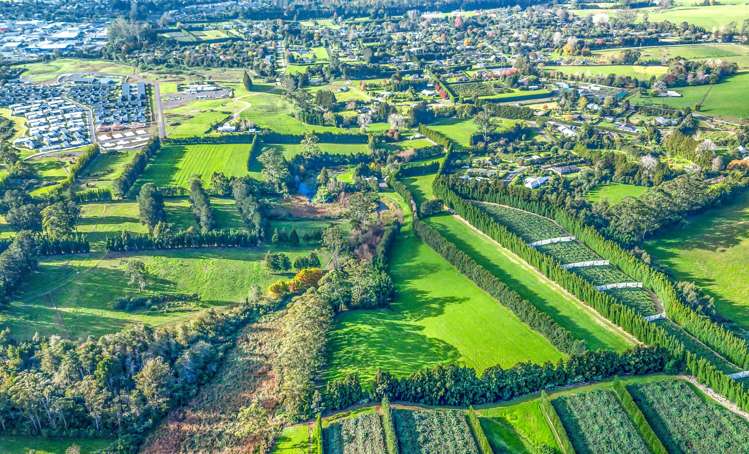 75 Riddell Road Kerikeri_8