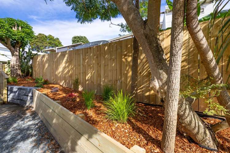 6 Helen Place Raglan_13