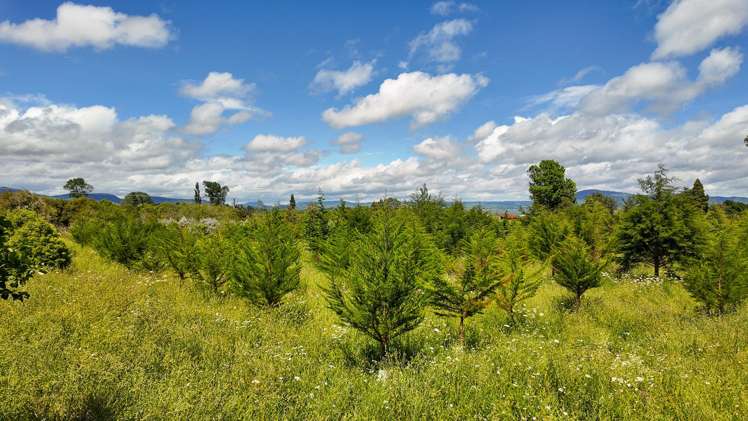 25 Cookson Road Tikitere_28