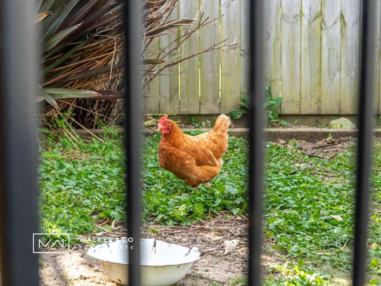 6 Paton Street Maymorn_19