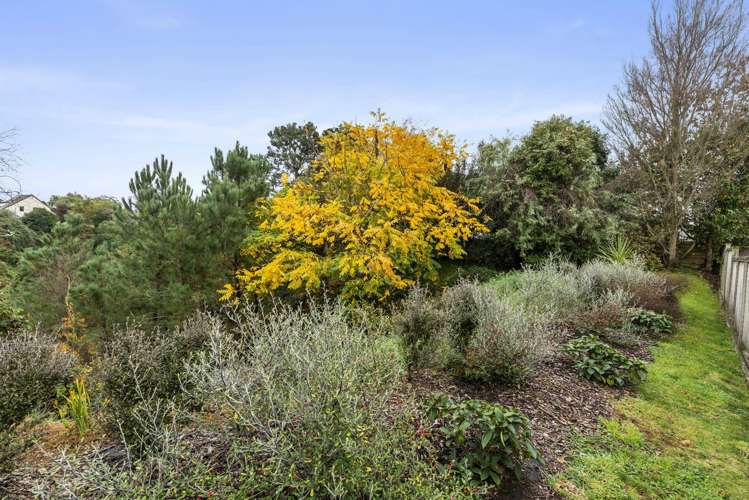 18 Robinson Terrace Rangatira Park_21