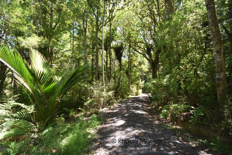 435 Heatley Road Whakapirau_14