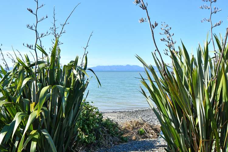 1820 East Coast Road Whakatiwai_23