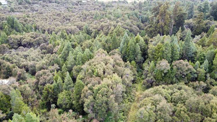 61d Beechwater Drive Moana / Lake Brunner_5