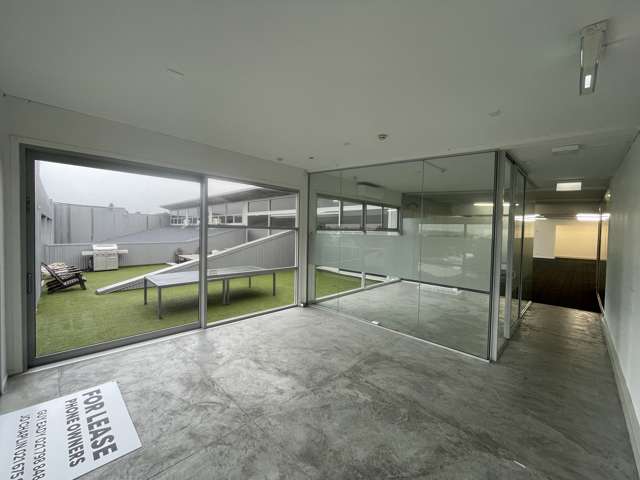 3.2/36 Williamson Avenue Grey Lynn_2