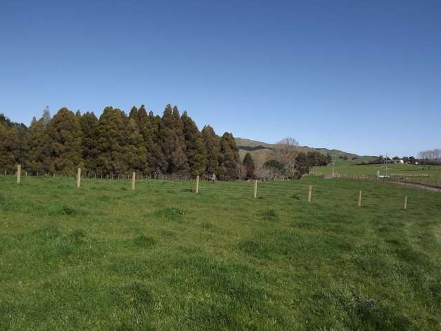 9 Mangakino Road Raglan_4