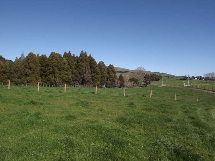 9 Mangakino Road Raglan_4