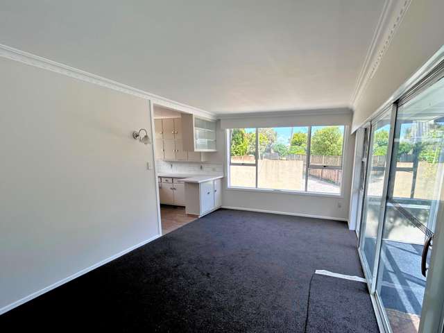11A Burden Street Blenheim_1