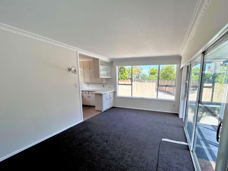 11A Burden Street Blenheim_1