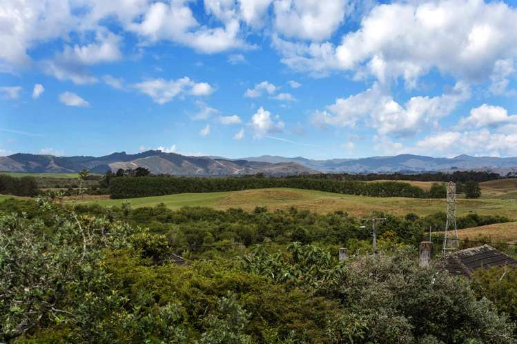 73 TE PUEA AVENUE Meremere_19