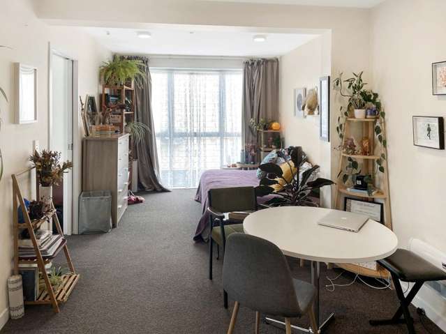 Apartment Living in Aro Valley