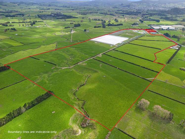 232 and 226 Trig Road South Waihi_30