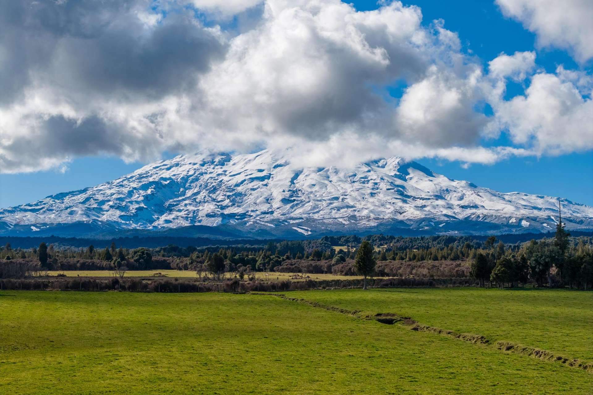 Lot 10/136 Matapuna Road Horopito_0