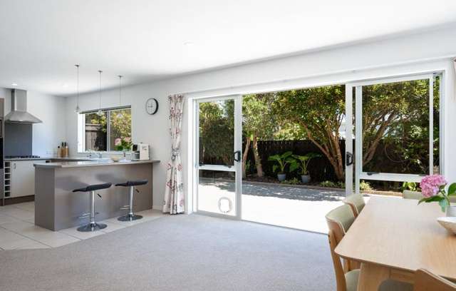 12a Martin Street Monaco_4