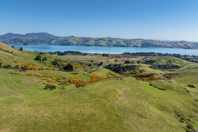 452 Harington Point Rd Lower Portobello_1