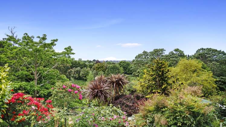 7 Furniss Lane Tauriko_31