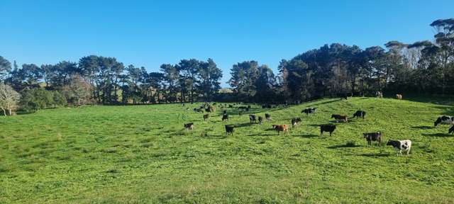 147A Papaitonga Lake Road Ohau_1