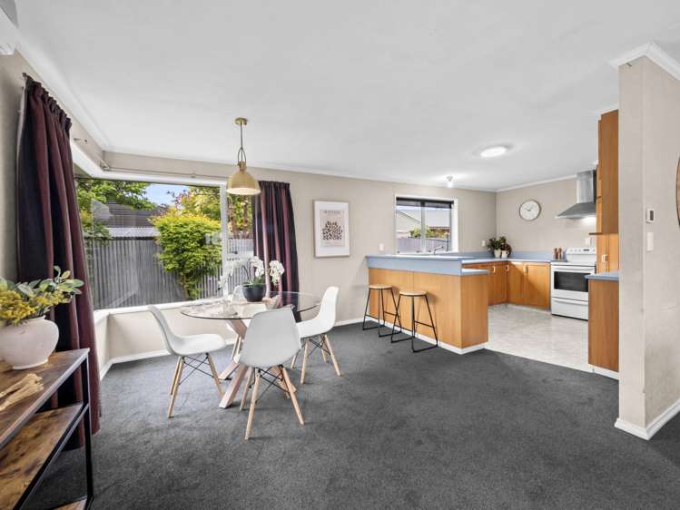 60a Elizabeth Street Allenton_5