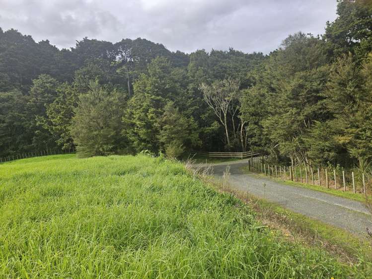 Lot Lot 1/675 Gorge Road Maungaturoto_11