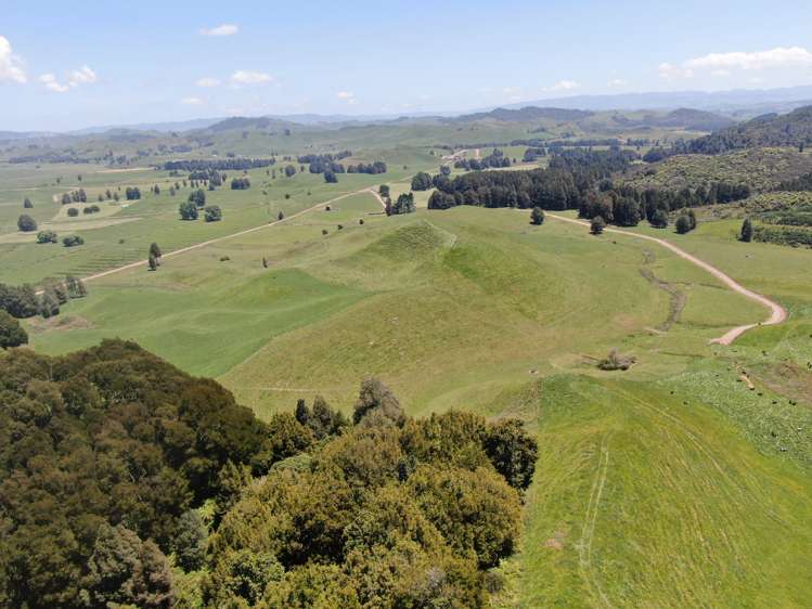 24 Pukeuha Road Aria_2