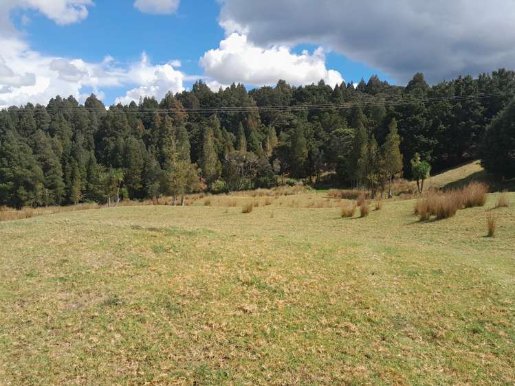 596 Waimate North Road Kerikeri_1