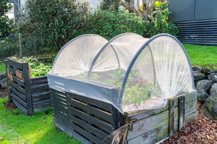 44 Mangawhai Heads Road Mangawhai Heads_20