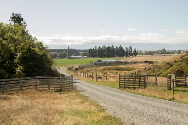 207 Tondros Road Fairlie_0