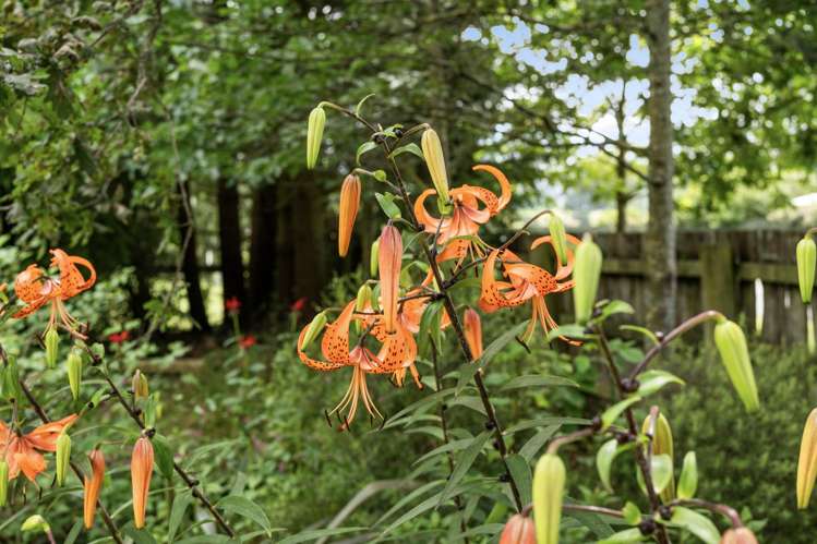 121 Barracks Road Oxford_23