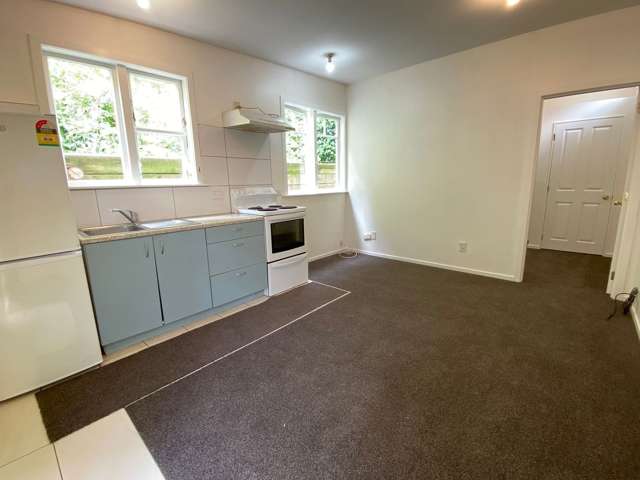 Beautiful 1 bedroom house in Oriental Parade