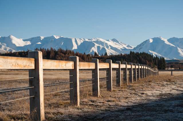 Merino Downs Twizel_3