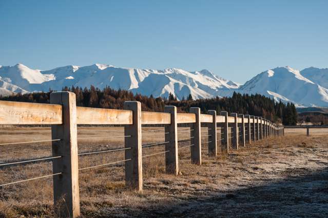 Merino Downs Twizel_2