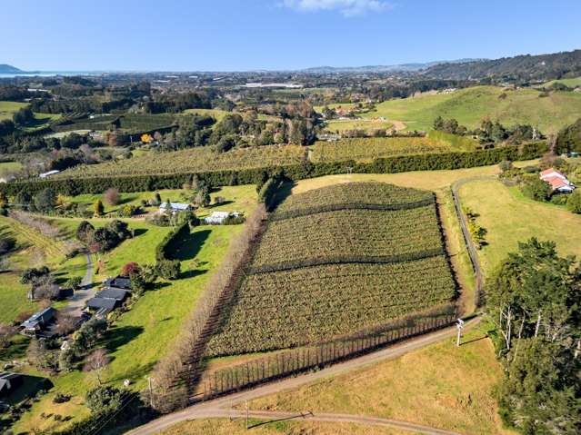 400 Old Highway Whakamarama_4