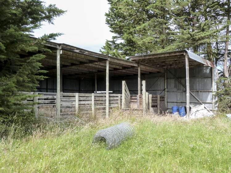 2 Wilson Road South Motu Rimu_4