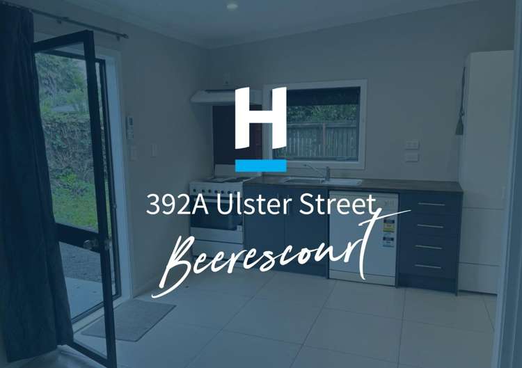 392A Ulster Street_0