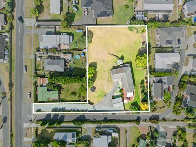 336 One Tree Point Road One Tree Point_3