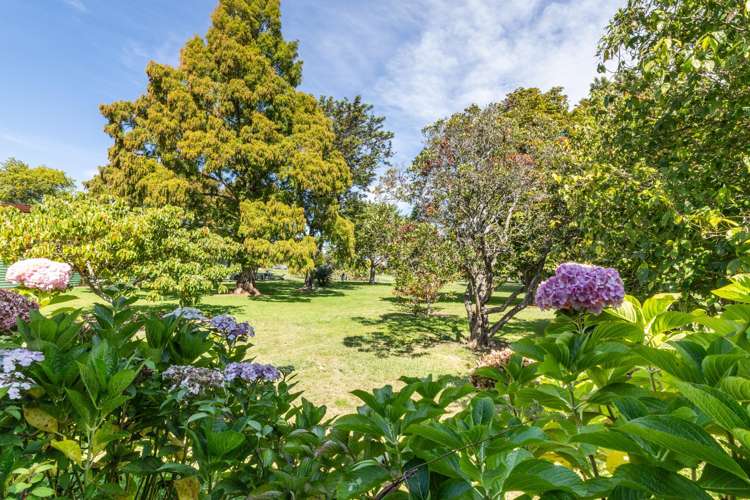 3/32 White Street Taradale_20