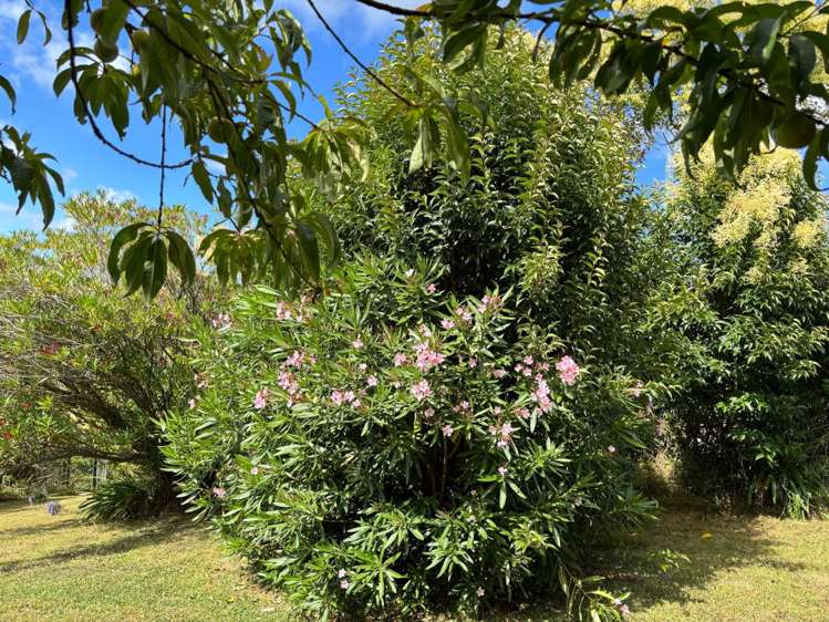 32 Kitchener Road Waiuku_19