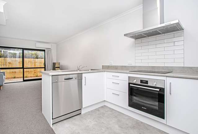 4/17 Lyon Street Frankton_3