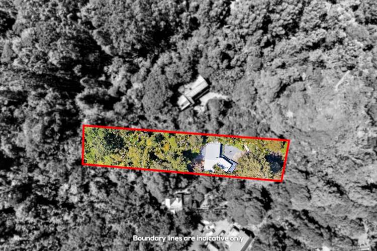 40 Mahoe Road Titirangi_12