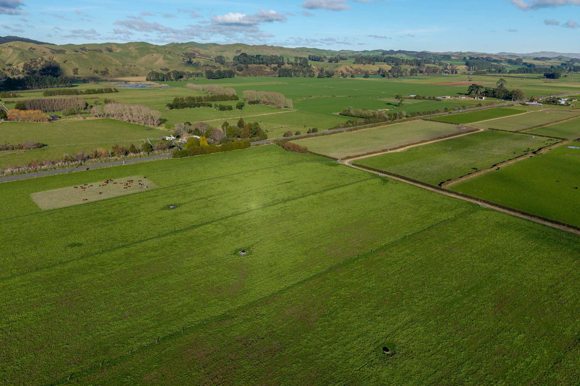 State Highway 2 Pahiatua_0