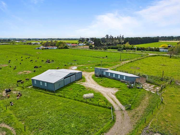 517 Gillespies Line Kairanga_6