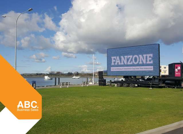 Big Screen Asset Sale|Ready to Go Setup