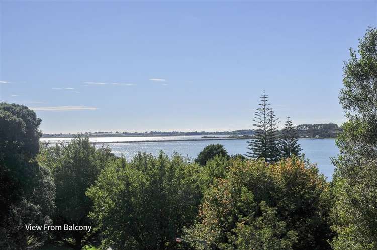 4/1 Ninth Avenue Tauranga Central_17