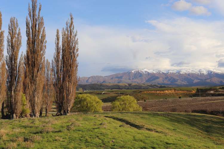 88 Crawford Hills Road Alexandra_11