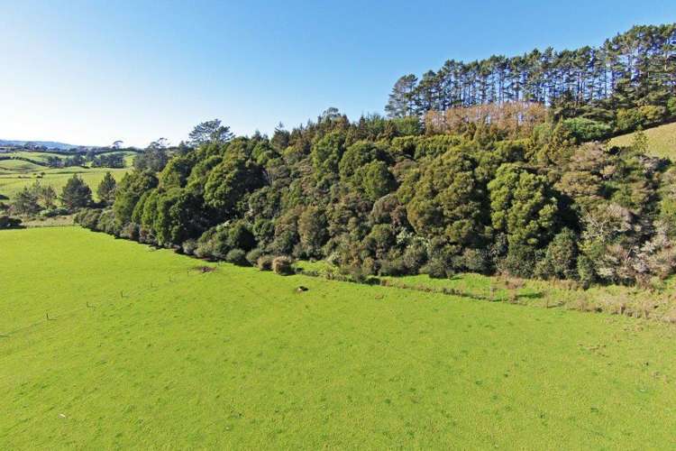 283 Trig Road Tuakau_9