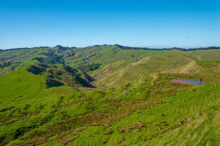229 Rangikohua Road Tolaga Bay_17