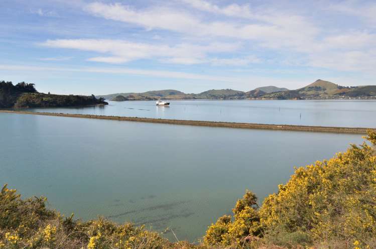 23 Blanket Bay Road Sawyers Bay_12