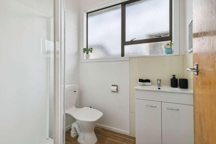 20 Bouverie Street Petone_9