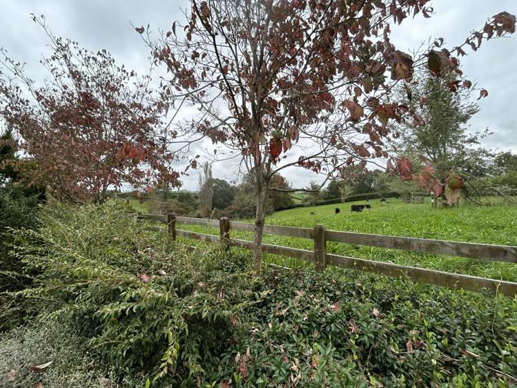 352 Grice Road Rotoorangi_5